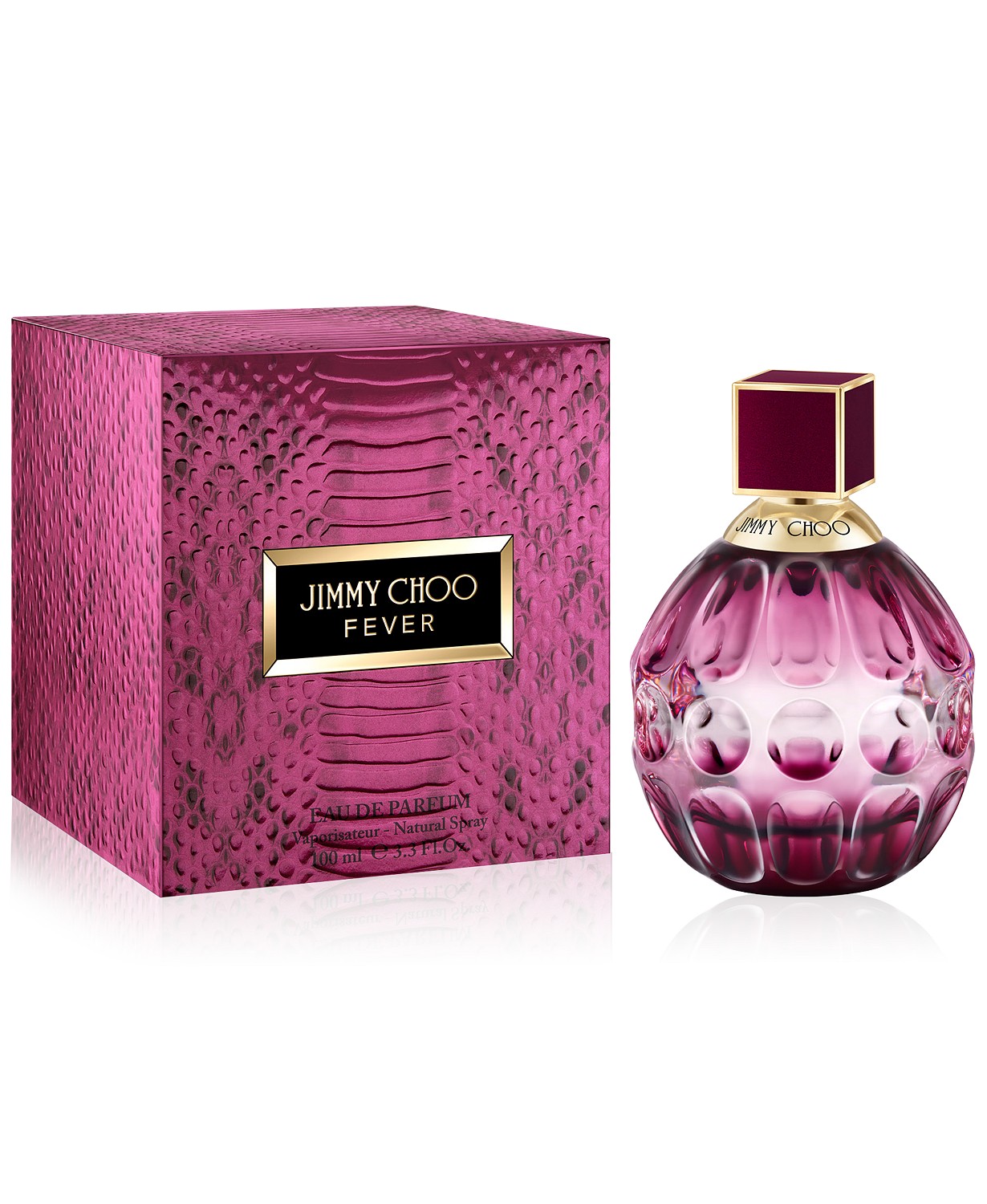 Jimmy Choo Ladies Eau de Parfum Spray 3.3 oz 